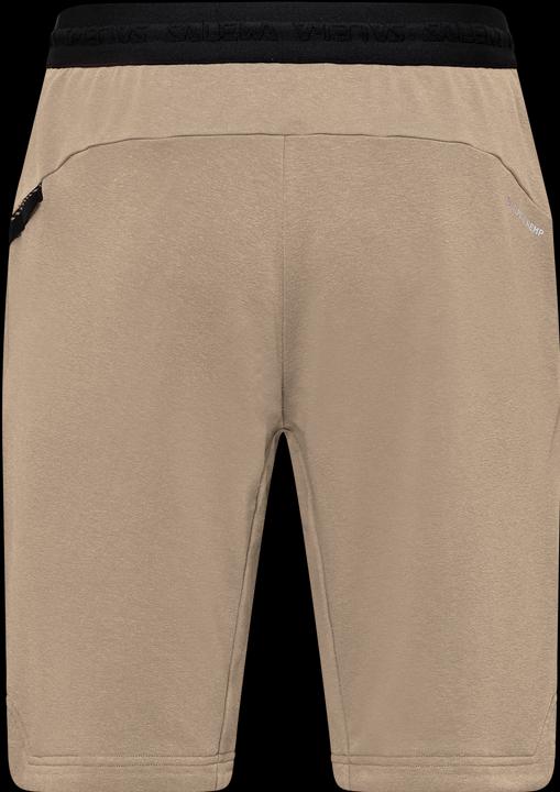 Actual product image Salewa Agner Hemp Shorts M (M)