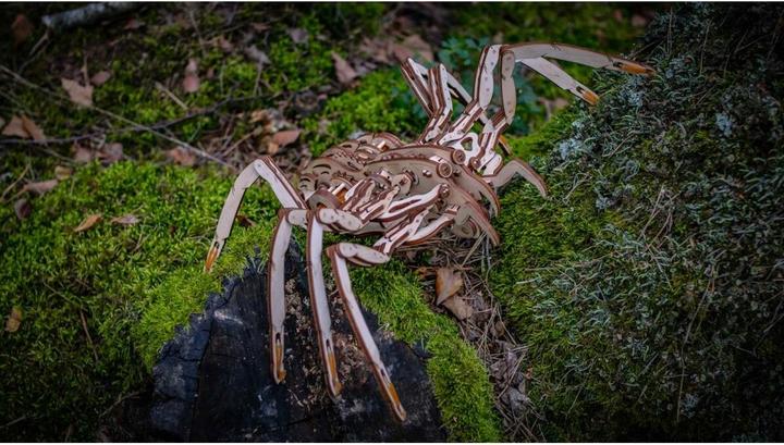 Actual product image Eco Wood Art spider