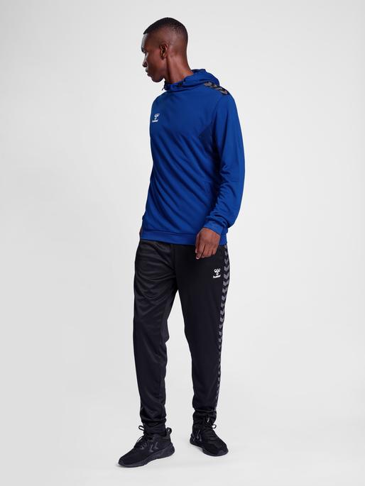 Image du produit hummel Hmlauthentic Pl Hoodie (XS)