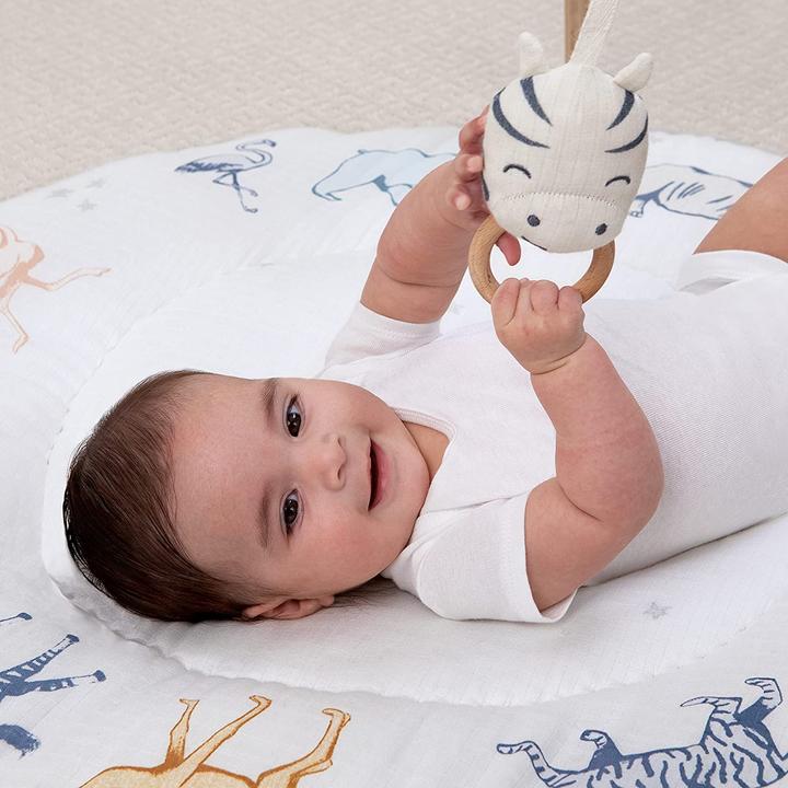 Produktbild aden + anais Erlebnisdecke mit Spielbogen
