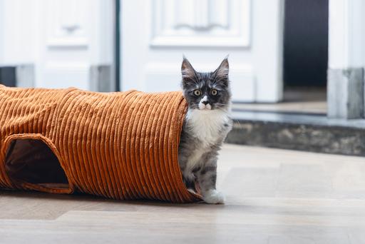 Actual product image Designed by Lotte Ribbed cat tunnel (Cat tunnel)