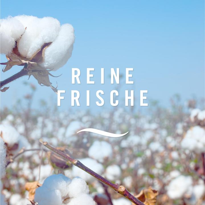 Actual product image Febreze Reine Frische