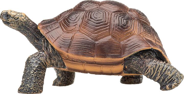 Produktbild Animal Planet Riesenschildkröte