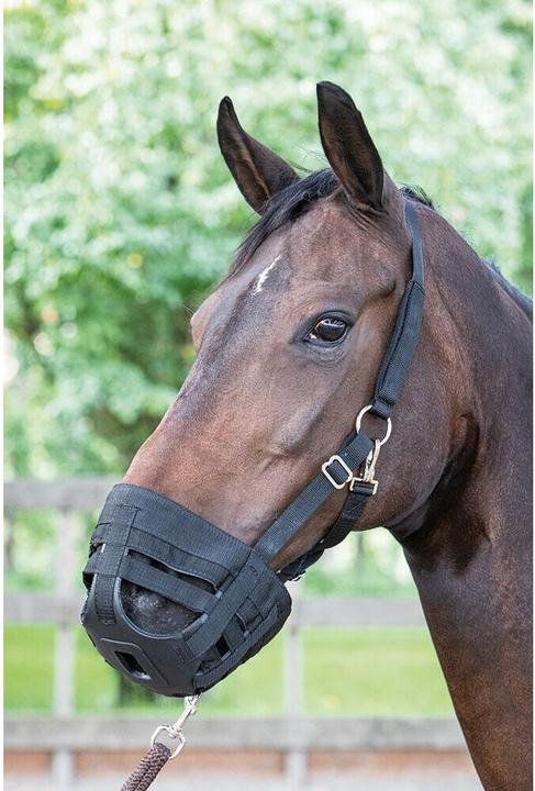Immagine prodotto Harry's Horse Air