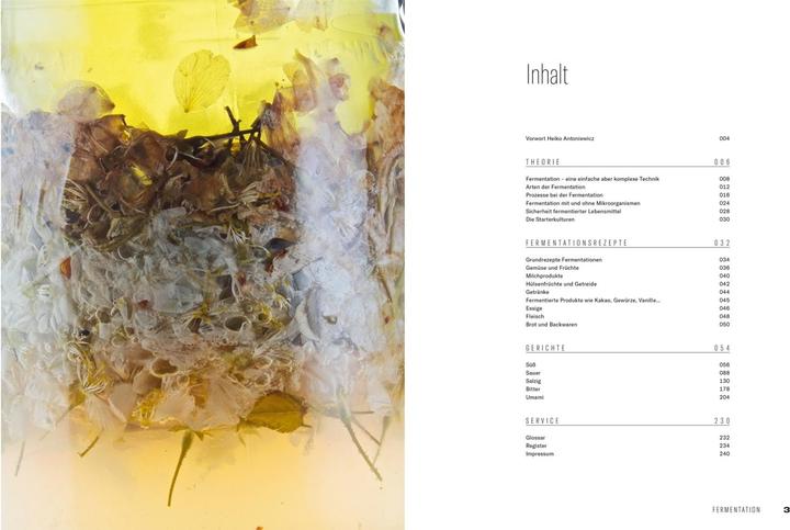 Produktbild Fermentation (Deutsch, Thomas Ruhl, Heiko Antoniewicz, Matthaes, 2021)