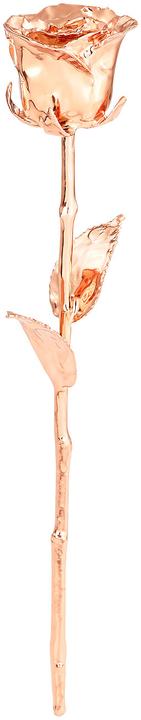 Produktbild St. Leonhard Echte Rose für immer schön: mit Rosé vergoldet, 28 cm