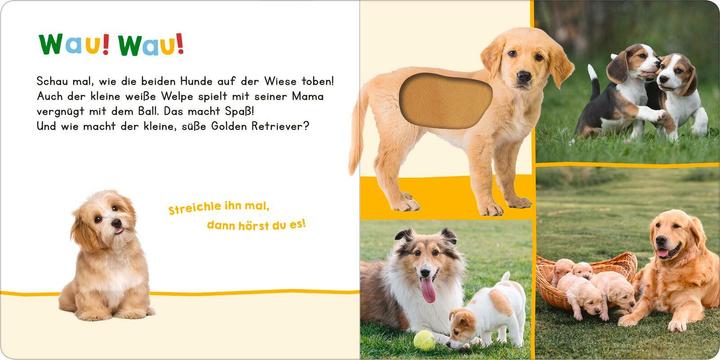 Actual product image Hör mal rein, wer kann das sein? – Meine ersten Tiere (German)