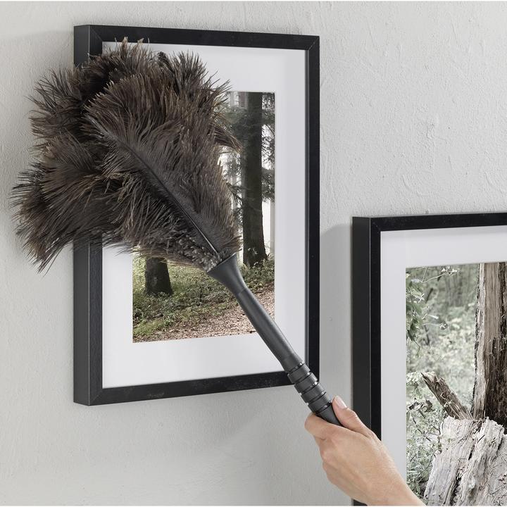Image du produit Sellmer Plumeau plumes d'autruche (1 pcs)