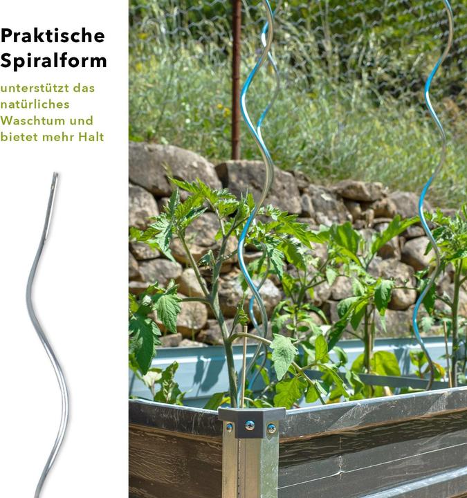 Produktbild Karat Tomatenspiralstäbe (0.60 cm, 0.60 cm)