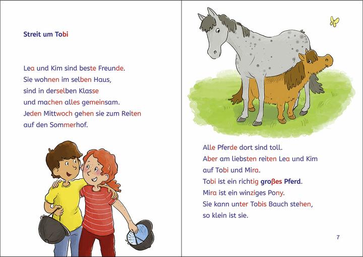 Produktbild Loewe Leselöwen 2. Klasse - Das Turnier auf dem Reiterhof (Deutsch, Heike, Wiechmann, 2025)