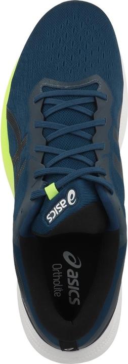Produktbild ASICS Performance Gel-Pulse 13 (43.5)