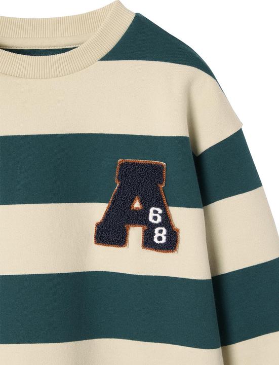 Produktbild Vertbaudet Jungen Sweatshirt mit Frottee-Patch (140)