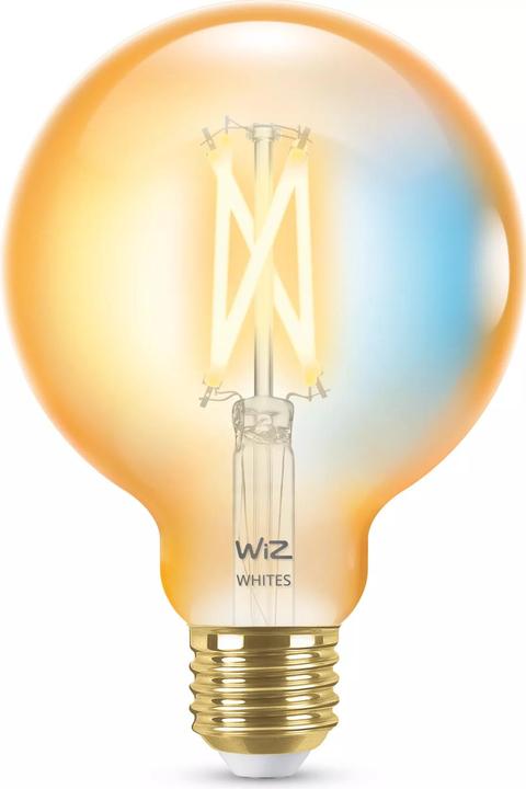 Vintage Filament (E27, 6.70 W, 640 lm, 1 x, E)