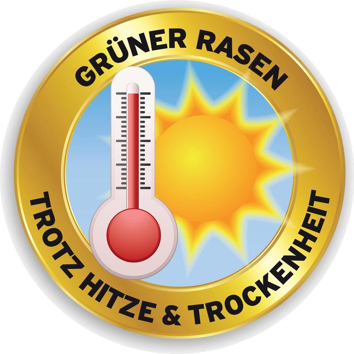 Actual product image Substral Lawn Seed "The Sunny" - 1,125 Kg (Lawn reseed)