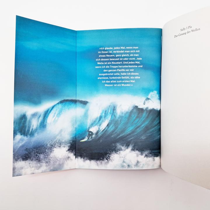 Actual product image Der Gesang der Wellen (German, Sally J. Pla, Susanne Hornfeck, 2025)