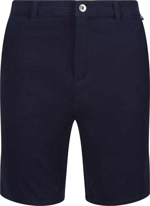 Actual product image Regatta Mens Sabden Chino Shorts (40)