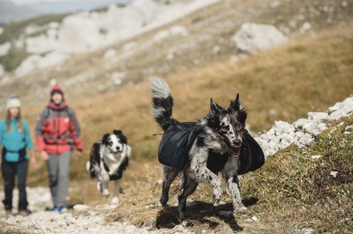 Produktbild Hurtta Rucksack inkl. Active Geschirr (M, Hundeweste)