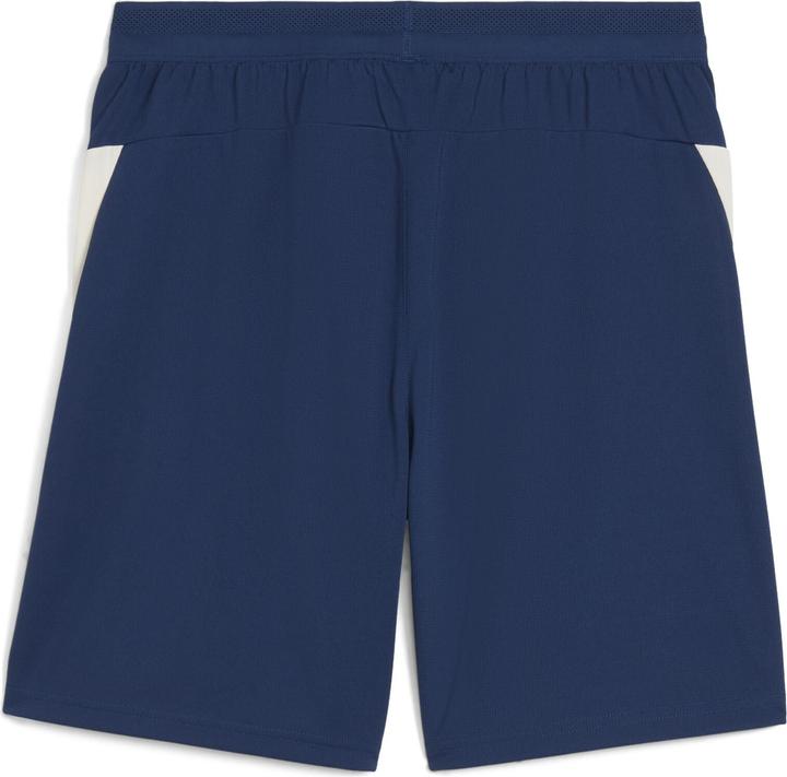 Actual product image Puma FPF Training Shorts (L)