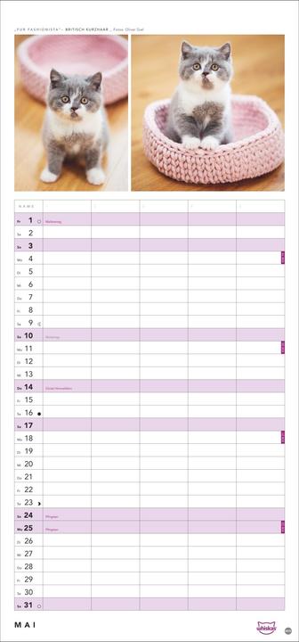 Image du produit Whiskas'Cattitude'Familienplaner2026 (21 x 45 cm, Couverture rigide, Allemand)