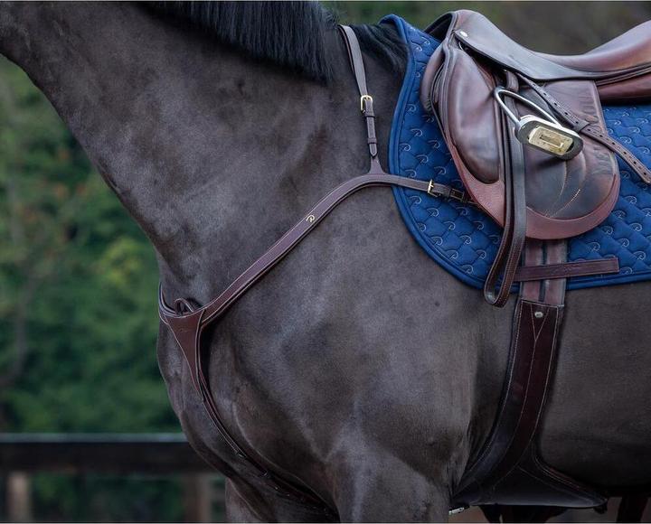 Actual product image Dy'on Long bridge hunting collar for horse