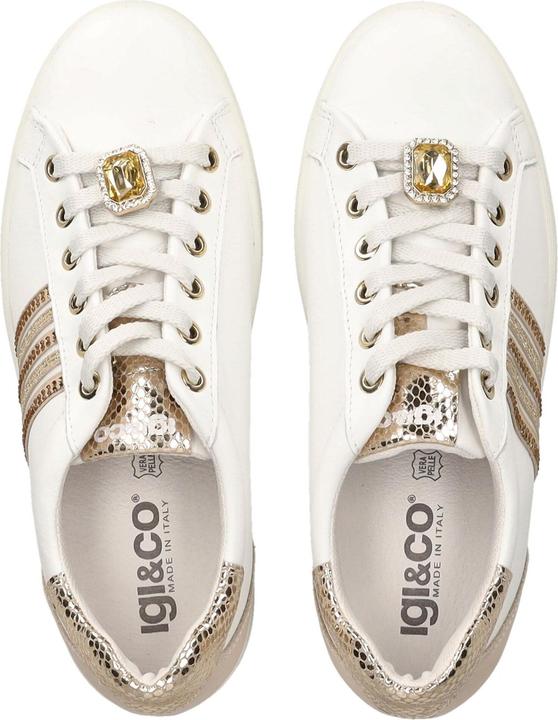 Image du produit Igi&co Sneaker (40)