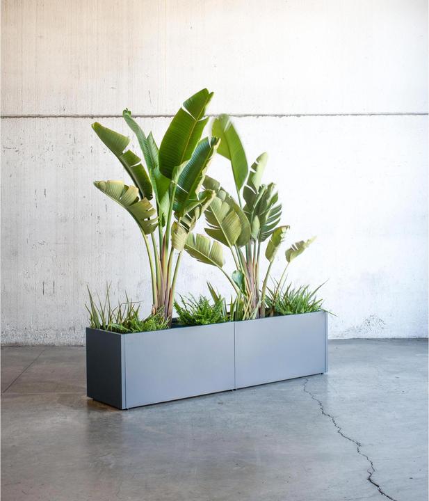 Image du produit Herstera Metal Planter