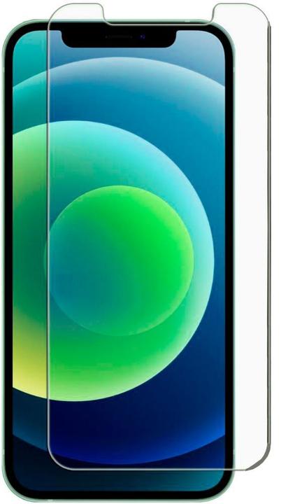 Actual product image Evelatus iPhone 12 Pro Max 6.7" 2.5D Anti-Blue Full Glue (1 Piece, Apple iPhone 12 Pro Max)