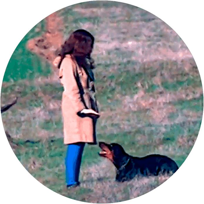Actual product image Minox NVD 650