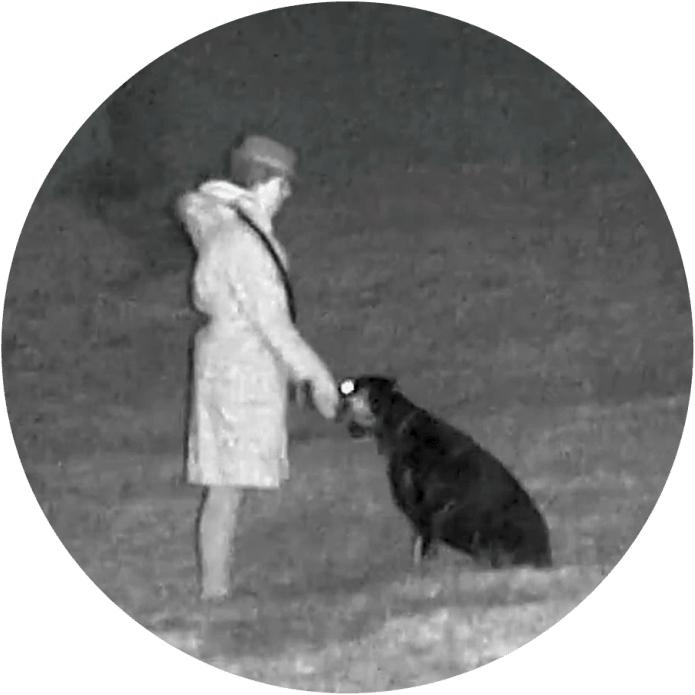 Actual product image Minox NVD 650