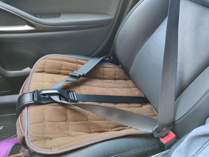 Actual product image Werkstein Schwangerschafts Auto-Gurt (One size)