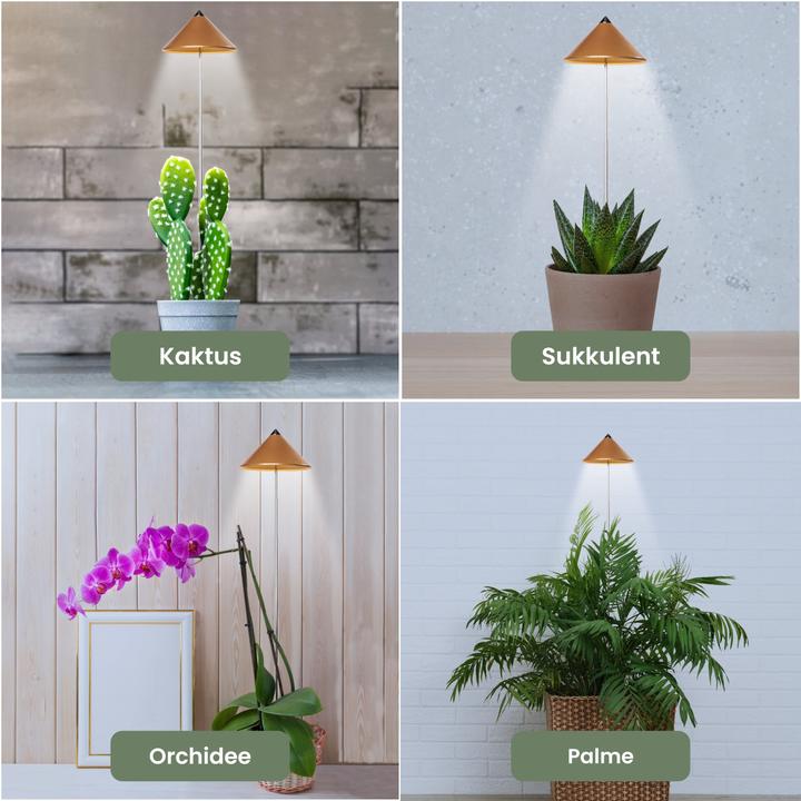 Productafbeelding Colibri Zonne (LED, 230 V)