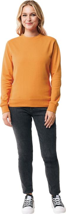 Immagine prodotto Universal Textiles Zion Felpa Girocollo Adulto Unisex (XL)