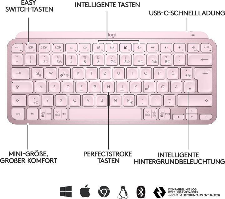 Actual product image Logitech MX Keys Mini (DE, Wireless)