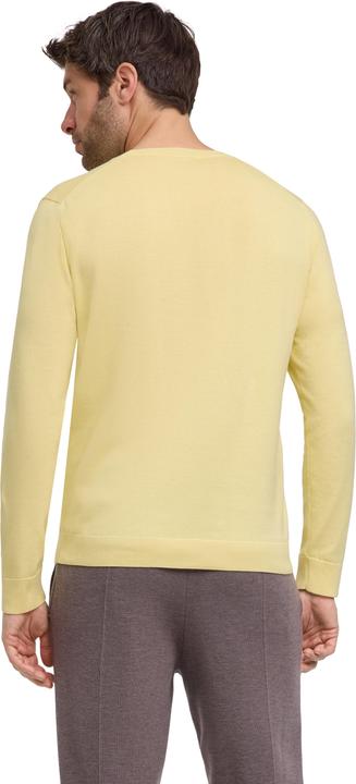 Immagine prodotto Falke Herren Pullover (S)