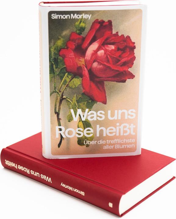 Image du produit Morley:»Was uns Rose heisst« - Über die (Allemand, Simon Morley, 2024)