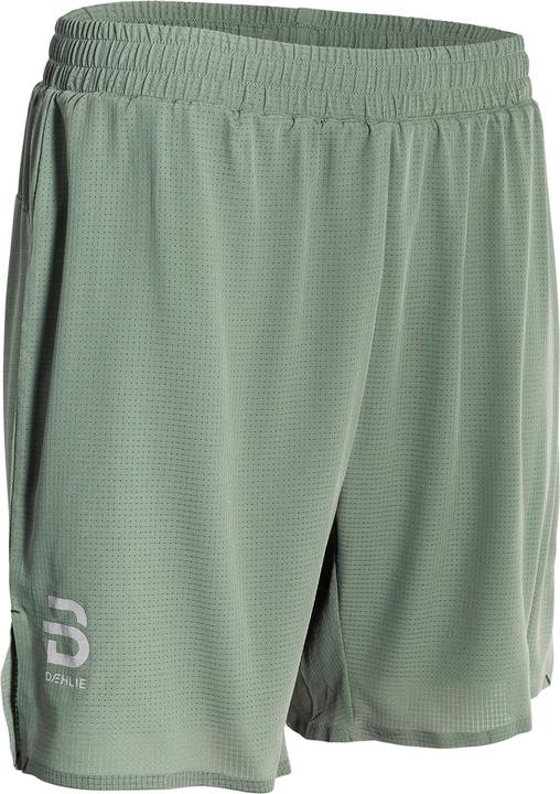 Actual product image Daehlie M Shorts Run 365 (L)