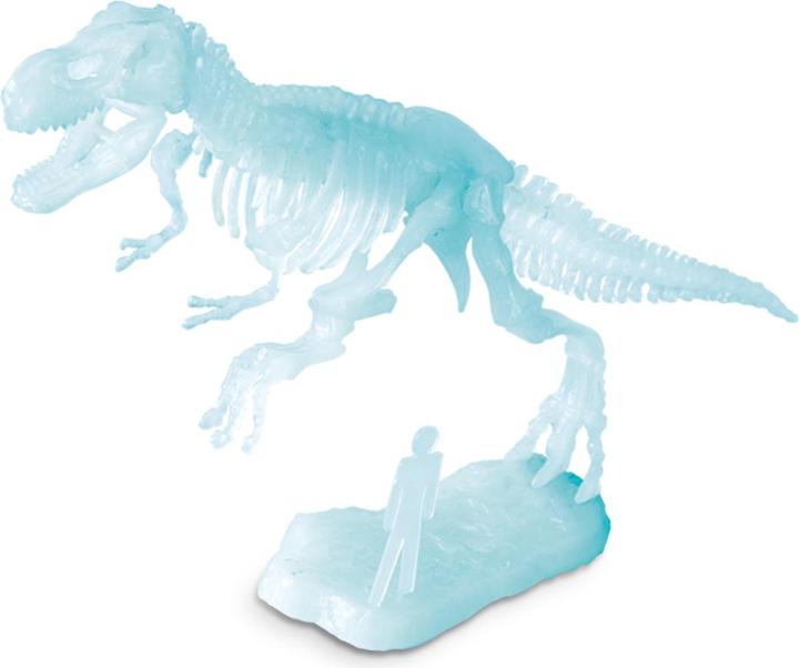Actual product image Kosmos Glow in the Dark T-Rex Bikken
