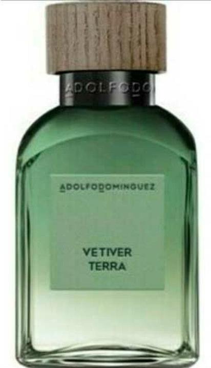 Actual product image Adolfo Dominguez Vetiver Terra Eau De Parfum Spray 200ml (Eau de parfum, 200 ml)