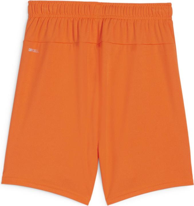 Actual product image Puma teamGOAL Shorts Jr (164)
