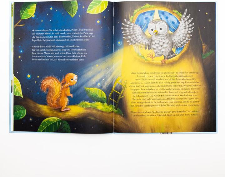 Produktbild Gute Nacht, kleiner Strubbel - Das Bilderbuch für alle Familien, die ruhige Nächte lieben (Deutsch, Eliane Retz, 2024)