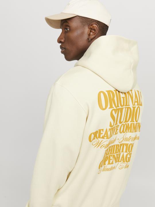 Actual product image Jack & Jones Jorroxbury Back Sweat Hood Ln (M)