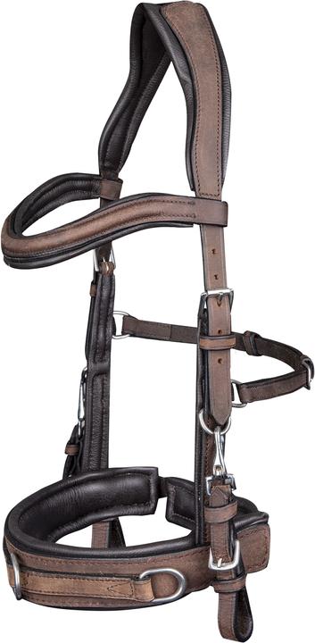 Actual product image Waldhausen Leather bridle Anatomic