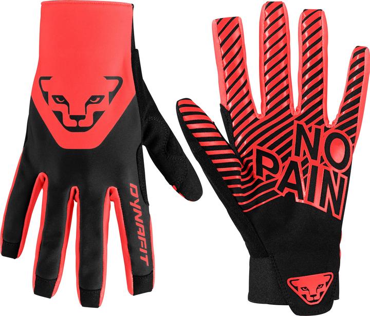 Produktbild Dynafit DNA Handschuhe (XS)