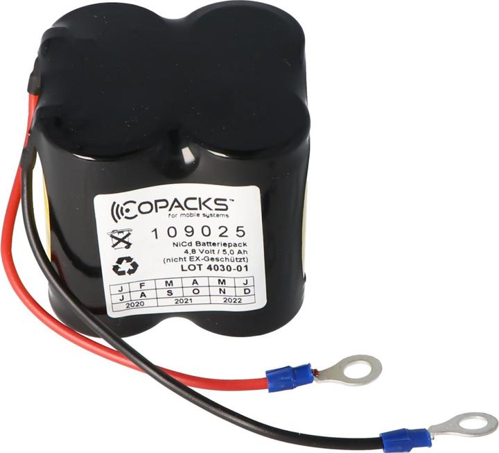 Actual product image AccuCell Akku Ceag CW270