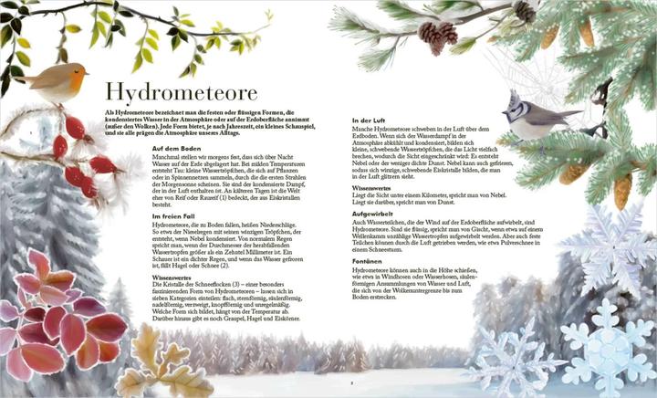Produktbild Der grosse Naturführer. Pflanzen, Tiere, Wolken und Sternbilder bestimmen. Nach Lebensräumen (Deutsch, Xavier Nitsch, Blandine Pluchet, Morgane Peyrot, 2022)