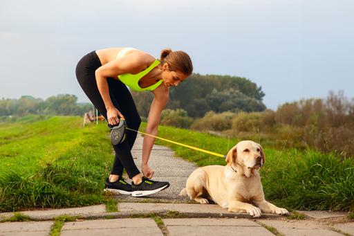 Actual product image Flexi Giant (M, Dog, Walks)