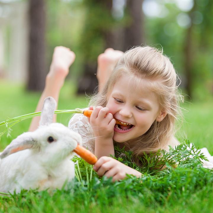 Produktbild Relaxdays Freilaufgehege Kaninchen