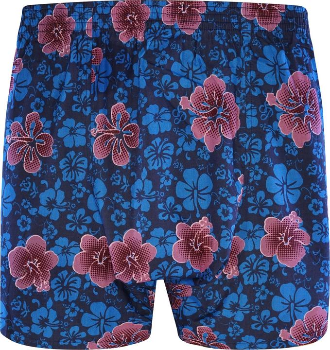 Immagine prodotto Sugar Pine Boxer Aloha Vera (M, Confezione singola)