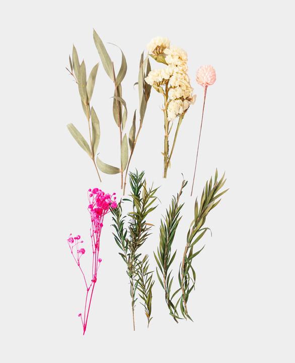 Produktbild I Am Creative Trockenblumenset (Trockenblumen)