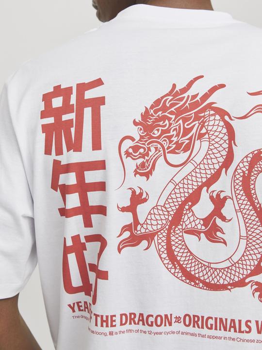 Image du produit Jack & Jones Jorsnake Tee Ss Crew Neck Tg Ln (XXL)